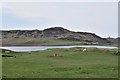 Grazing by Loch Grigadale, Ardnamurchan in PH36 4LN