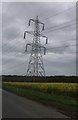 Pylon on Langley Bush Road, Helpston in PE6 7EE