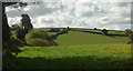 Valley above Great Rock Farm in TQ13 9QE
