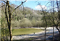 Pond in an Old Quarry in HU13 0JA