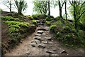 The Sandstone Trail on Bickerton Hill in CH3 9LA