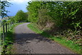 Path above Ladybower Reservoir in Derwent