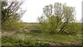 Wetland near Sandhead in DG9 9JX