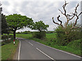 Dunton Road near Park Farm Cottage, Ingrave in CM13 3SE