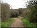 Path onto Epsom Downs in KT18 7ET