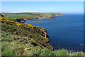 Clifftop near Pennan in AB43 6JB