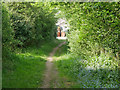 Looking North on Long Bridle Road in IP25 6LJ