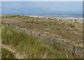 Beach and dunes at Sizewell in Sizewell