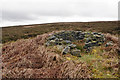 Grouse butt on Higher House Moor in HX7 5TS