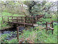 Pompren Nant Einon / Nant Einon Footbridge in SA44 4PS