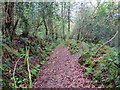 Llwybr Ceffyl Cwm Einon / Cwm Einon Bridleway in SA44 4PS