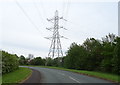 Pylon beside Brewery Lane in L10 6NF