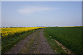 Bridleway towards Grimsby Road, A46 in DN37 7EB