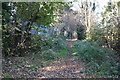 Footpath, looking north in KT18 5PU