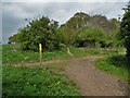 Junction of paths near Snake Hill in Holly Forest Town Ward
