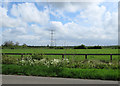 Pylons on Fulbourn Fen in CB1 9AJ