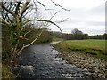 River Ribble North of Settle in BD24 9LR