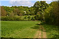 Permissive path north of Anna Valley in SP10 3NS