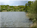 Wishing Tree Reservoir in TN38 9JE