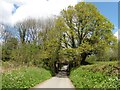 Disused railway bridge on road to Bottreaux Mill in EX36 3PS