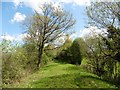 Trackbed of former railway line from Taunton to Barnstaple in EX36 3PS