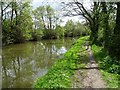 The Stratford-upon-Avon canal in CV35 8PP