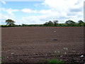 Field entrance off the B5395 near Grindley Brook in Agden