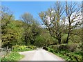 Barton Bridge in EX36 3ND