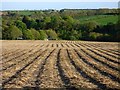 Farmland, St Erme in TR4 9BL