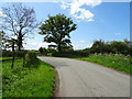 Bend in the minor road towards Barton in CH3 9EN