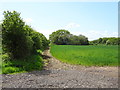 Footpath to Marsh Lane in CH3 9EN