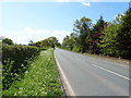 Barton Road (A534) towards Wrexham in CH3 6NF