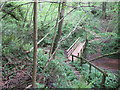 A footbridge crossing Hayley Dingle in WR6 5JW