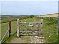 Bridleway down to Balsdean Bottom in BN2 6NL