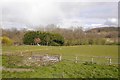 A field near Kington in HR5 3HB