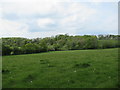 Field and woods on Round Hill in WR6 5HF