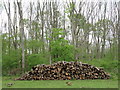 Logpile by Coalpits Wood in WR6 5QT