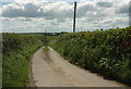 Lane from Lee Farm in EX37 9BX