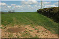 Field by Lee Cross in EX37 9BX