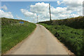 Lane to Withy Cross in EX37 9BX