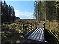 Footbridge over the Carling Burn in G83 9LX