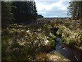 The Carling Burn in G83 9LX