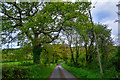 Taunton Deane : Country Lane in TA21 9LL