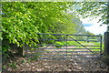 North Devon : Grassy Field & Gate in EX36 3JN