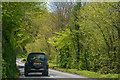 North Devon : Country Road in EX36 3EW