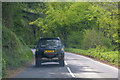 North Devon : Country Road in EX36 3HH
