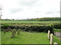 View from Whinburgh churchyard in NR19 1QP