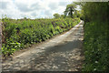 Lane near Greater Knowle Farm in EX37 9BJ