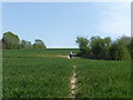 Footpath near Gate Farm Road in TN11 9AX