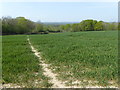 Footpath to Gate Farm Road in TN11 9AX